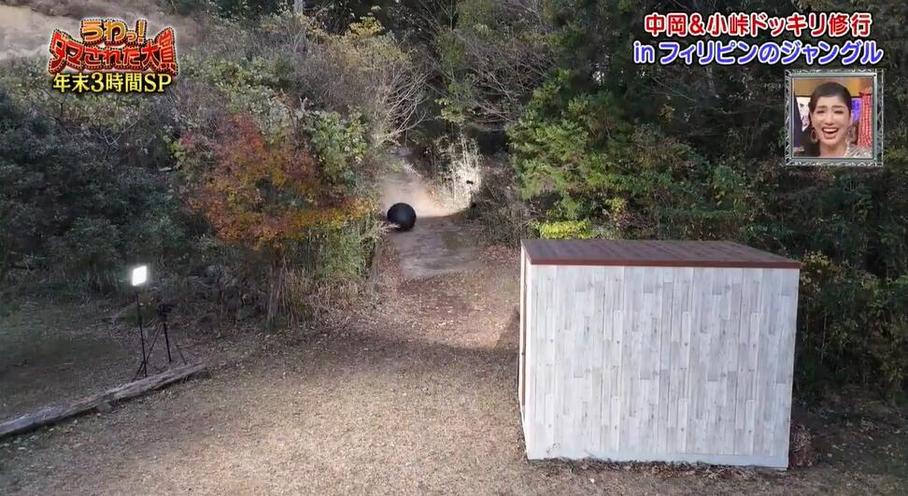 传递真相，感动人心：这些日本新闻节目作品令你念念不忘