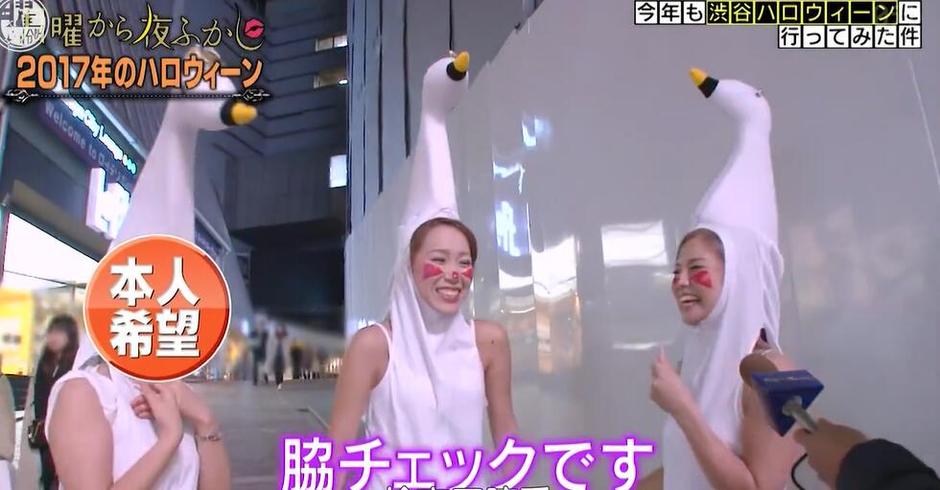 推荐日本室内设计综艺节目，让你的空间变得更优雅