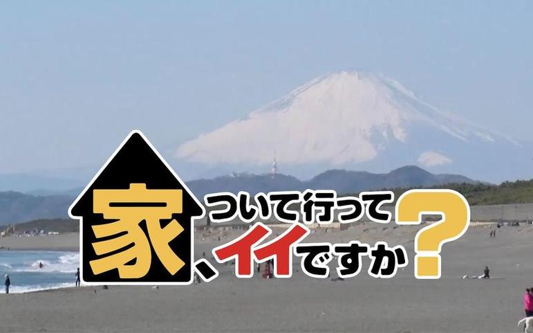 日本相亲节目推荐，暴食女子部，颜值高的人才有资格